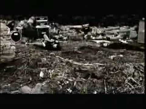 The Miniatures - Little Bird