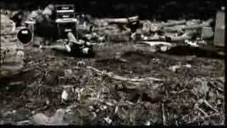 The Miniatures - Little Bird