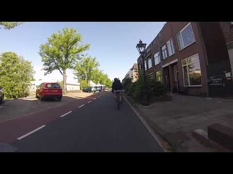 The tulip route in Leiden The Netherlands