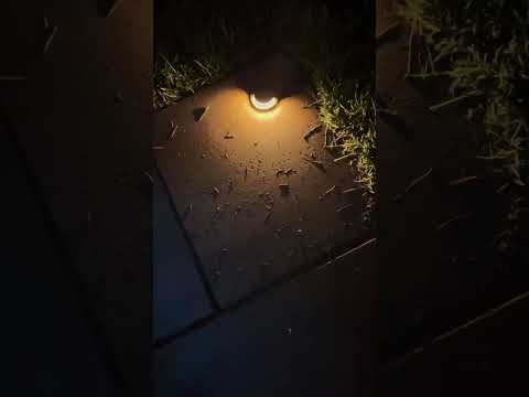 Luxury Outdoor Lighting Installation in Milton, MA | Apollo Outdoor Lighting & Design