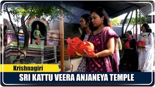 Temple video