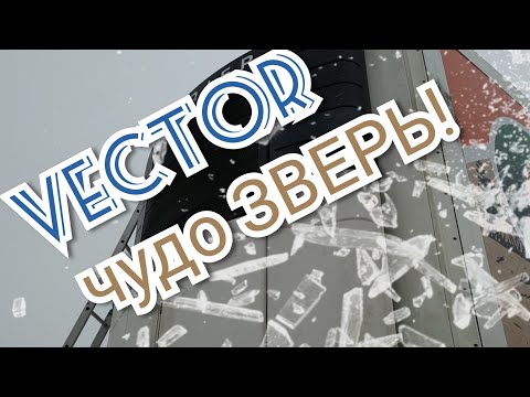 Обзор Vector 1850‼️Самые частые болячки‼️