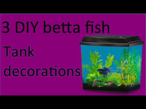 3 DIY Betta Fish Tank Decor