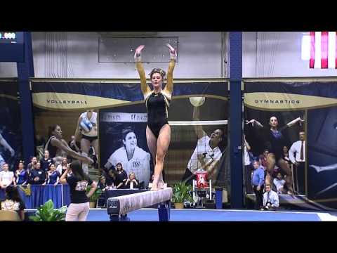 B. Steffen, Towson BB (3-19-16)