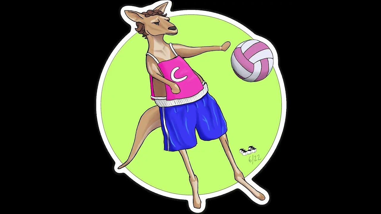 Netball Kangaroo Time-lapse