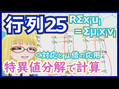 科学によると、「ゴミ箱のババババ」はそれほど愚かではない可能性がある