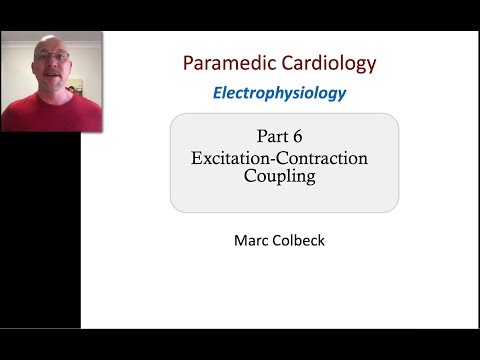 Cardiovascular Electrophysiology 6 - Excitation Contraction Coupling