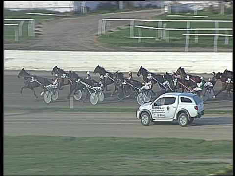 Trotto 27/11/2016 - 1ª corsa