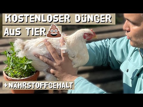 Free fertilizer from animal manure - these nutrients are included - chicken, rabbit, dog, horse