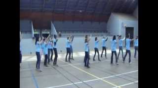 preview picture of video 'flash  mob Gisors 2012 11h05 1ére !!!!'