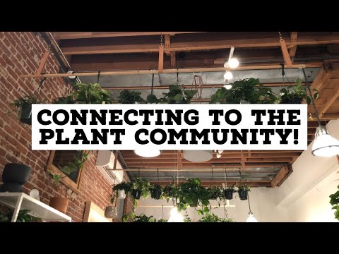 Connecting to the Plant Community | City hashtags