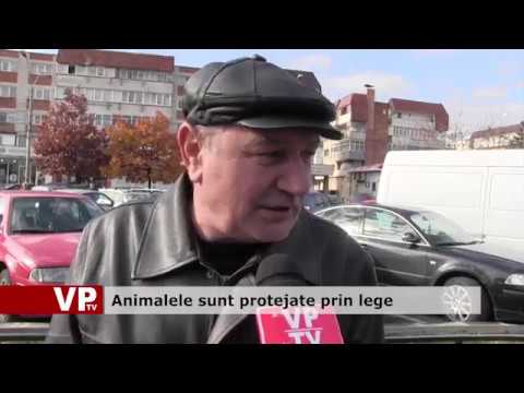 Animalele sunt protejate prin lege