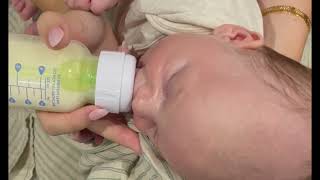Download lagu Upright side lying paced bottle feeding mp3 Download lagu Upright side lying paced bottle feeding mp3