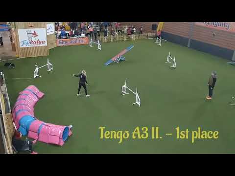 Tengo & Deni - April Bing Agility Cup 2022