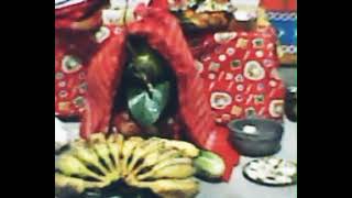 গৃহে তারা ( উগ্র) মার পূজা পদ্ধতি #tranding #tarakmehtakaultachashma