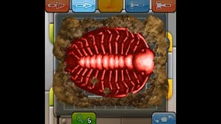 【スーパーカセキホリダー】パーラッド全身１２５ポイント　ナゾの黒カセキ