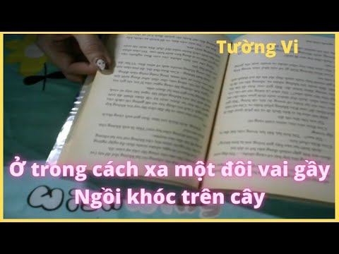 Ở trong cách xa một đôi vai gầy      Ngồi khóc trên cây