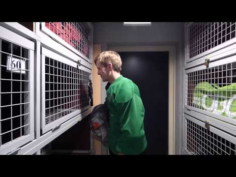 Call Me Maybe MHC Soest Heren 1