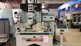 Máy Cnc trung tâm 3D 6 Axis wood master