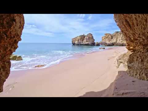 Study Session With Beach Waves- Ambient Ocean Sounds for Concentration