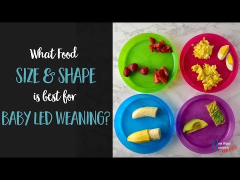 download lagu mp3 mp4 Baby Led Weaning Food Shape, download lagu Baby Led Weaning Food Shape gratis, unduh video klip Baby Led Weaning Food Shape