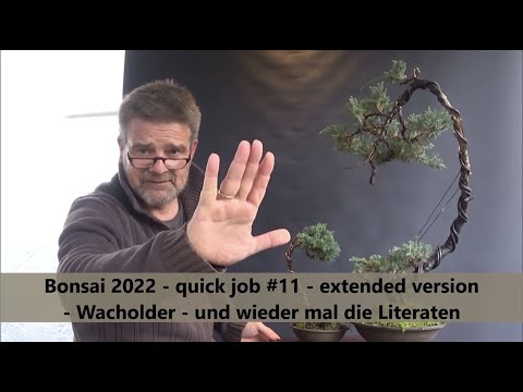 Bonsai 2022-5 - quick job #11 - extended version - Wacholder - mal wieder die Literaten