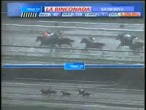 1ERA CARRERA VIERNES 24 AGOSTO LA RINCONADA AUDIOHIPISMO