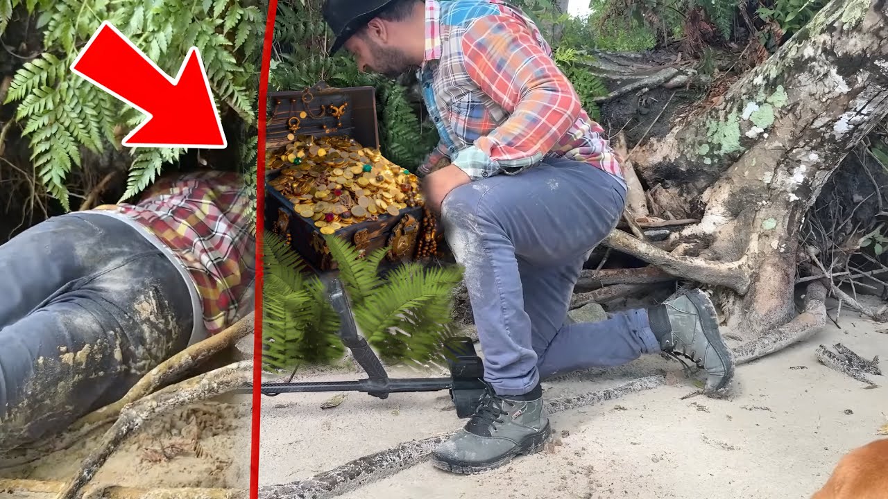 Something mysterious was found on a secret island where there are many treasures!