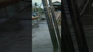 Download lagu Akan ada pelangi setelah hujan #story #quotes mp3 Download lagu Akan ada pelangi setelah hujan #story #quotes mp3