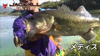 秦拓馬の晩秋の野池攻略Part.3