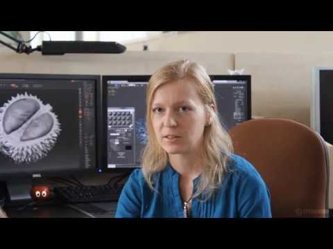 3D Model Pack: Evermotion Archmodels Vol. 130 - 44 High-Res Fruits and Vegetables.