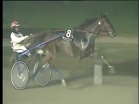 Trotto 26/11/2017 - 6ª corsa