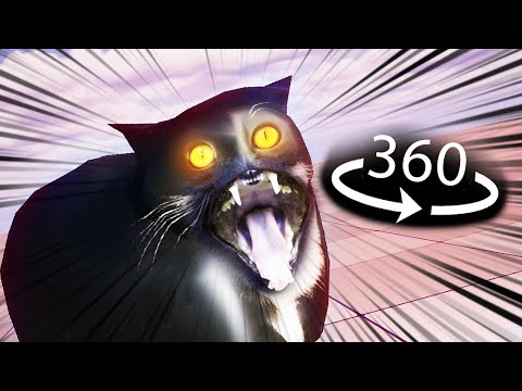 360° Maxwell The Cat ATTACKS YOU!