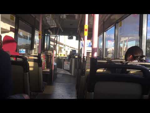 Hillsbus Northmead Custom Coaches 550 Mercedes Benz 0405NH no. m/o 7284