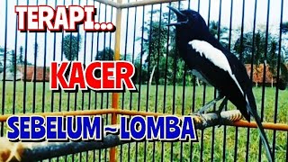 Download lagu BERANI GAK✓ TERAPI KACER SEBELUM LOMBA mp3 Download lagu BERANI GAK✓ TERAPI KACER SEBELUM LOMBA mp3