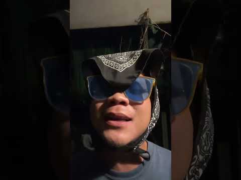 Họ chưa từng sai ( Demo )