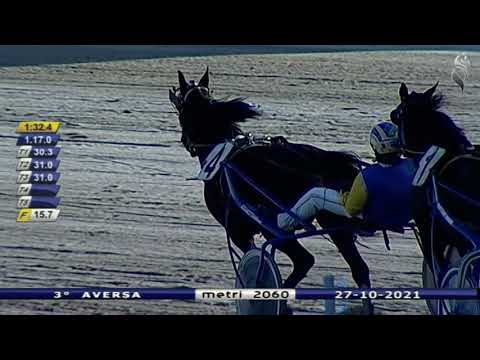Aversa trotto 27 Ottobre 2021 - 3° Corsa