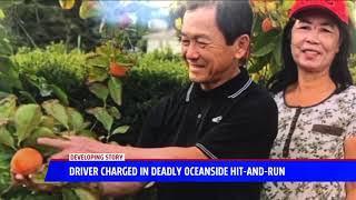 Driver Charged In Deadly Oceanside Hit-And-Run
