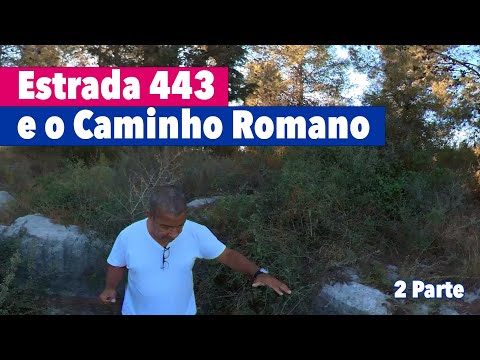 Estrada 443 e o Caminho Romano entre Jerusal&eacute;m e Jope 2 Parte