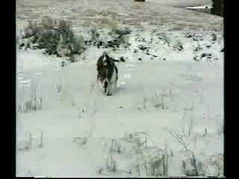 Old West, New West-Deep West Video: Oregon Range War by Whit Deschner