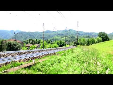 TIGRE E.652 CON MERCI DI CONTAINER IN TRANSITO A RIGOROSO (AL) 7 - 6 - 2018