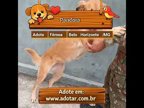 Vídeo de Pandora
