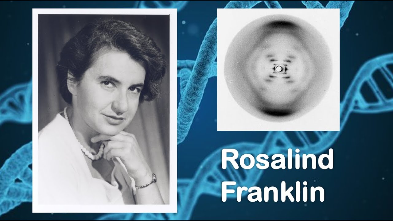 Rosalind Franklin: A great female scientist behind the discovery of DNA structure