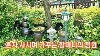 새벽부터 혼자 사시며 가꾸는 할머니의 아름다운 정원