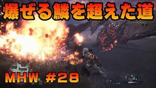 爆ぜる鱗を超えた道【ゲーム実況】MONSTER HUNTER WORLD【にゃとらす】 #28