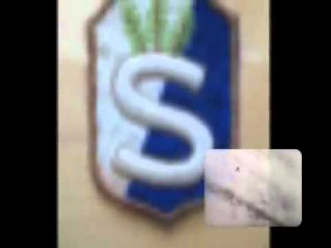 Vilppulan urhojen muistolle.flv