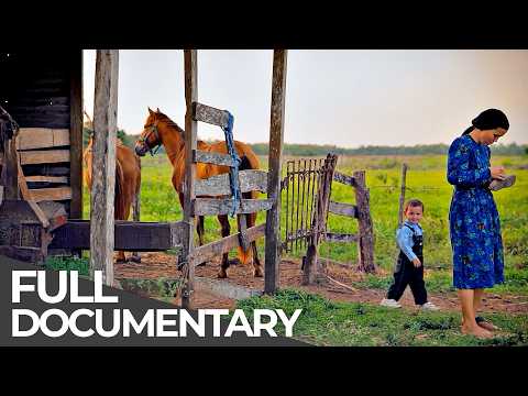 No Power, No Technology, No Modern Life: The Mennonites of Mexico