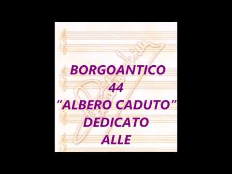 Video thumbnail for Albero caduto
