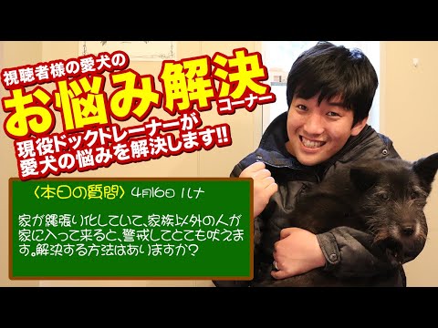 うちの犬が家の中で自分の縄張りをマークしてしまうのですが、どうすれば避けられるでしょうか?