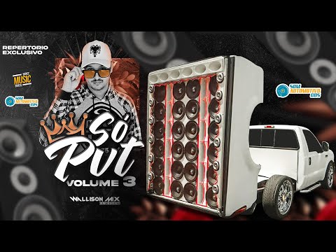 CD SÓ PVT VOLUME 3 - DJ WALLISON MIX